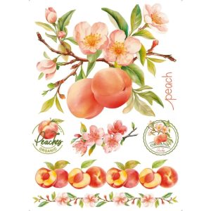 IMAGEM ILUSTRATIVA - 2026-05-15T175518.818