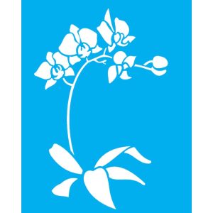IMAGEM ILUSTRATIVA - 2026-09-30T142455.950