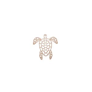 IMAGEM ILUSTRATIVA - 2026-10-10T151451.640