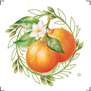 IMAGEM ILUSTRATIVA (6)