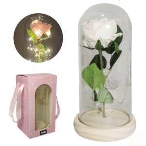 Tamanho 6cm cada. - 2026-04-10T165646.045